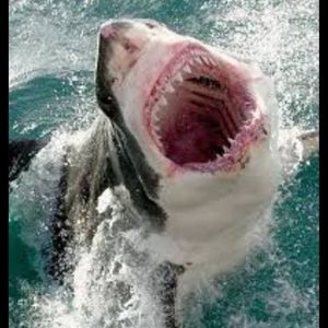 Meet your Posher, Yifter doel